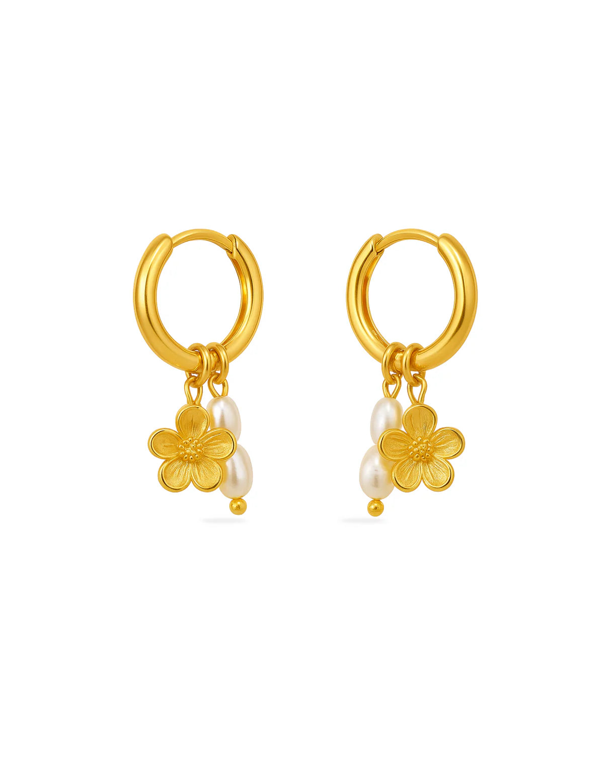 Boucles d'oreilles Oasis | Or