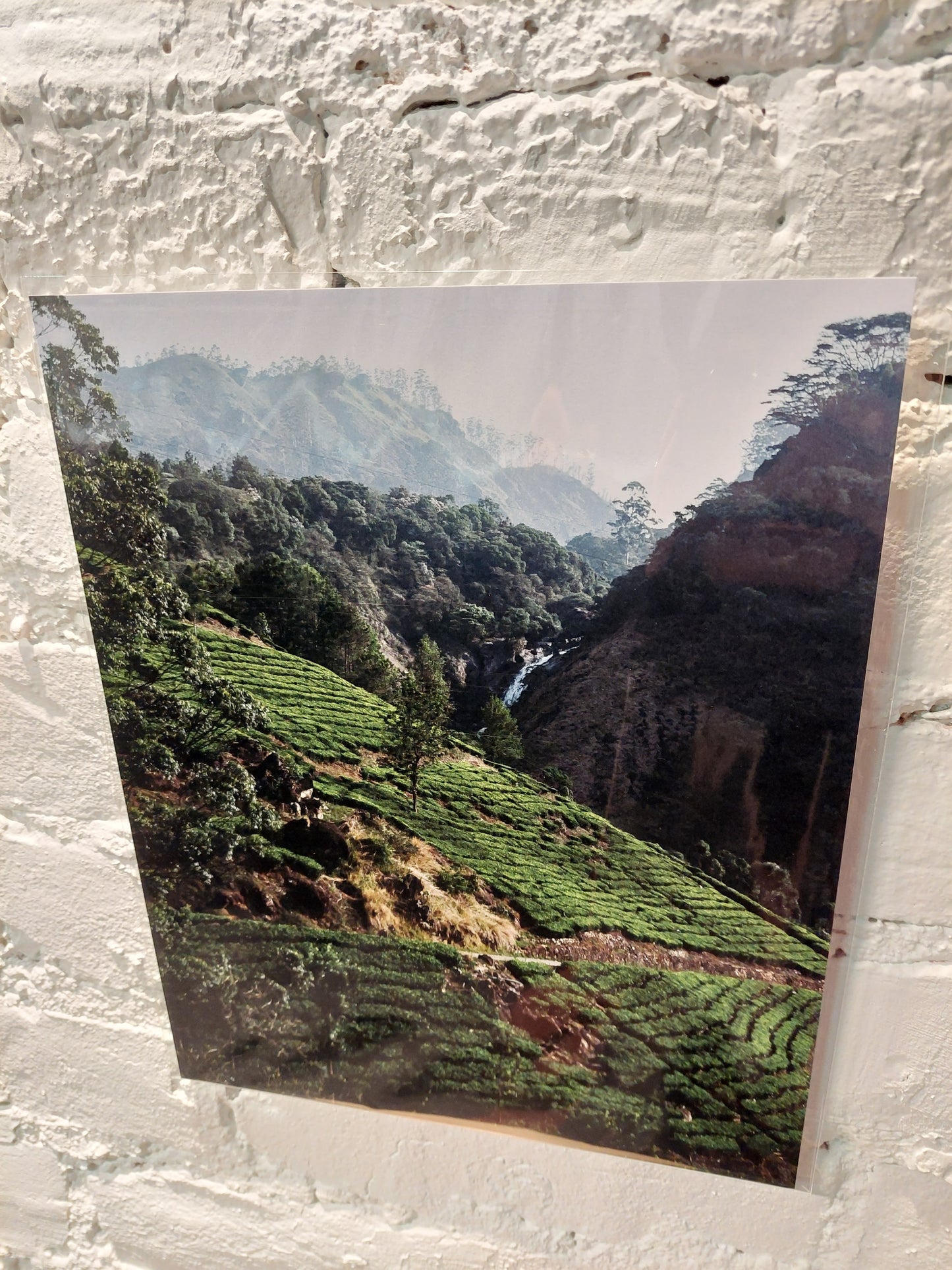 Affiche Cascade | Régulière