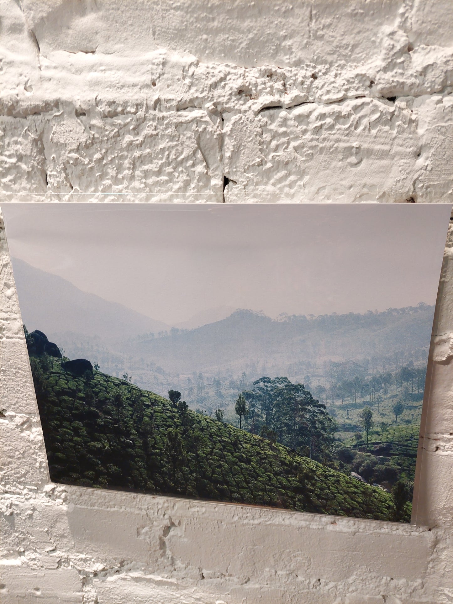 Affiche Collines | Petite