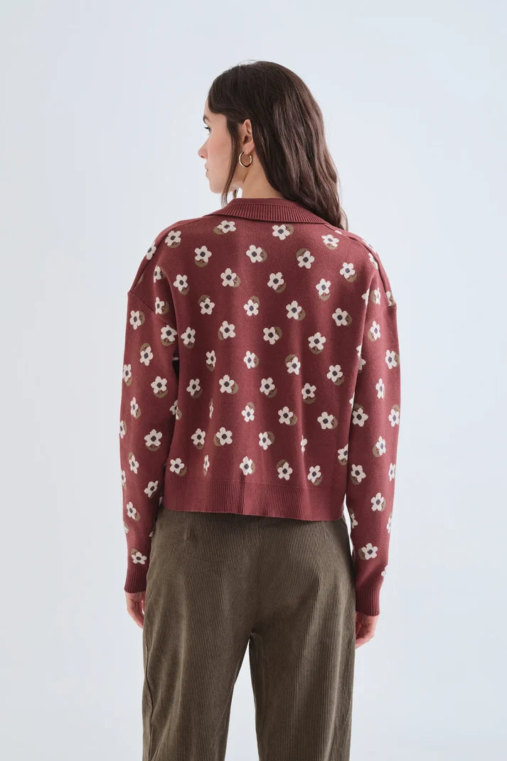 Cardigan Santini - Compañía Fantástica | Brun